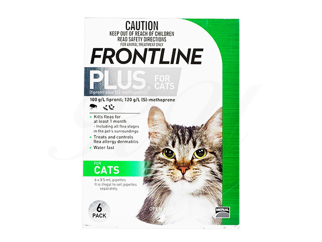 FrontlinePlusSpotonCat6Pipette