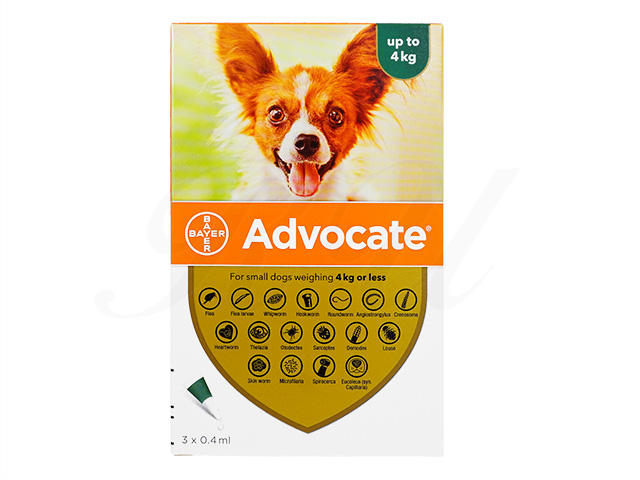 Advocate for Small Dogs (up to 4kg)