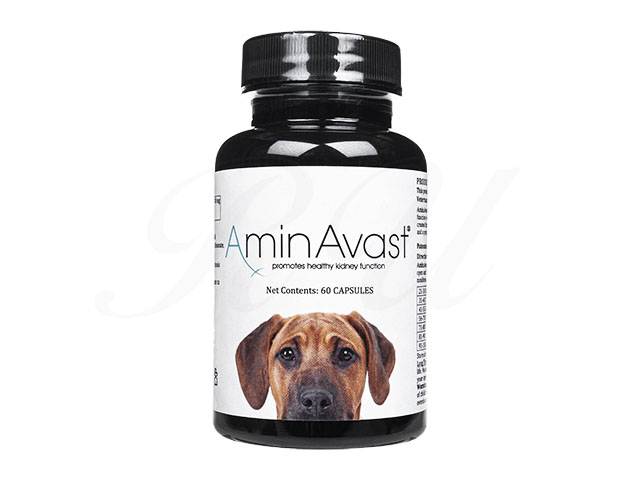 アミンアバスト | 腎臓・ホルモン・泌尿器 | 犬 | ペット医薬品個人 