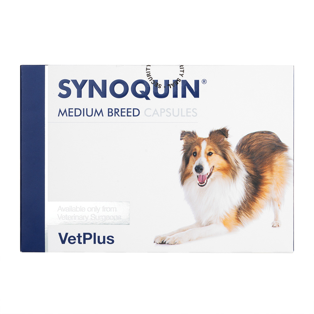 人気新品入荷 VetPlus サイノクイン（中型犬用／10～25kg）通販｜サプリメント サプリメント