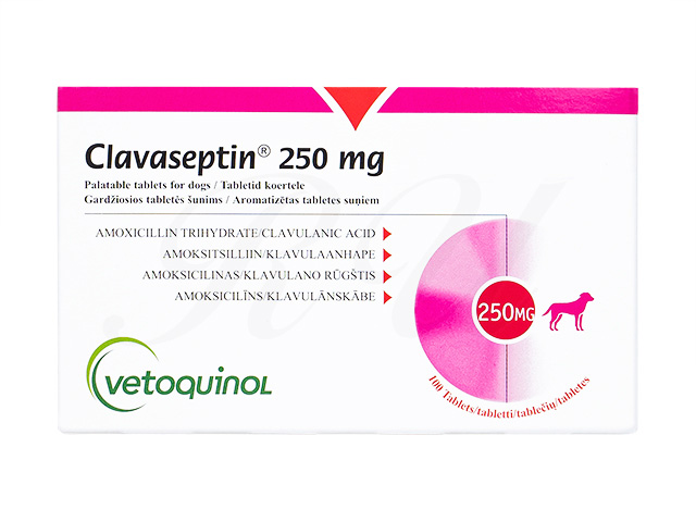 モリケンショウ　ACC-β500　250mg×100粒　４袋 2025年最新】モリケンショウの人気アイテム - メルカリ