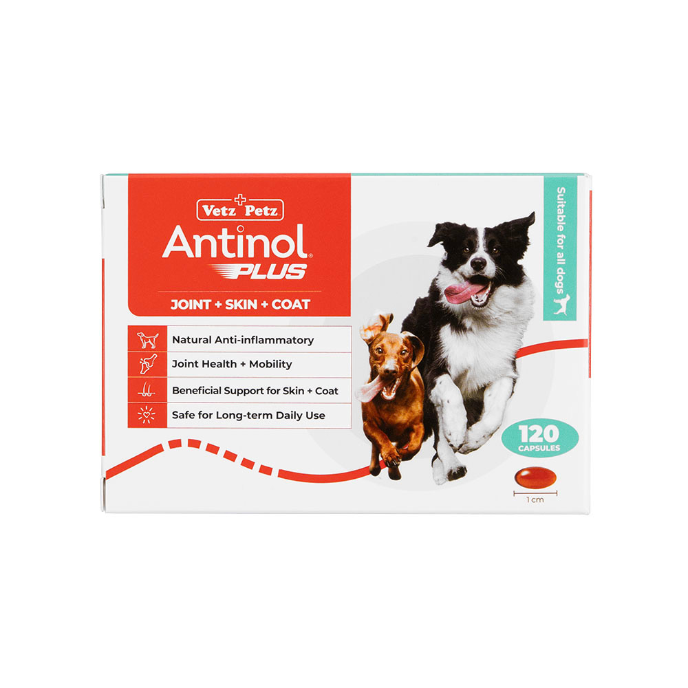 アンチノールプラス120カプセル通販｜サプリメント｜犬｜ペットのお薬