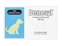 デノシル90mg 消化器官 犬猫兼用 ペット医薬品個人輸入うさパラ通販