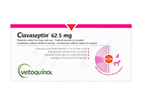 055586_clavaseptin-62.5mg-