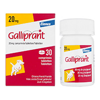 ガリプラント60mg通販｜痛み止め・抗炎症剤｜犬｜ペットのお薬うさパラ