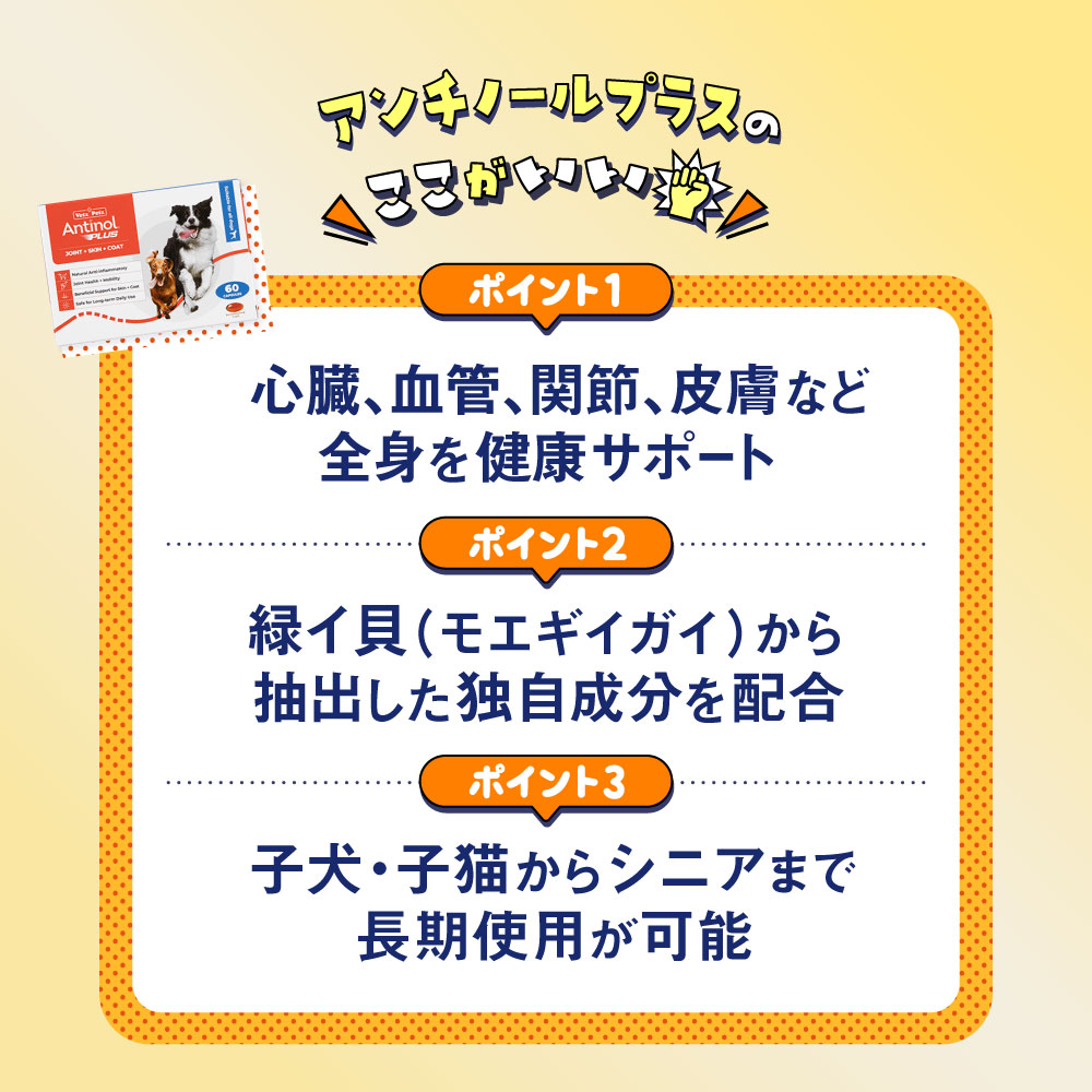 アンチノールプラス120カプセル通販｜サプリメント｜犬｜ペットのお薬