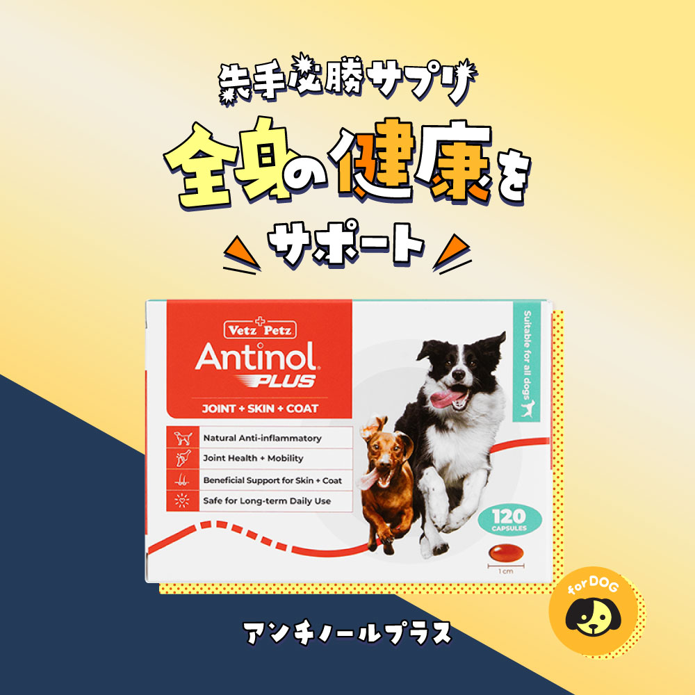 Vets Pets アンチノール Amazon.co.jp: Vetz Petz アンチノール 60粒 公式 正規品 犬用