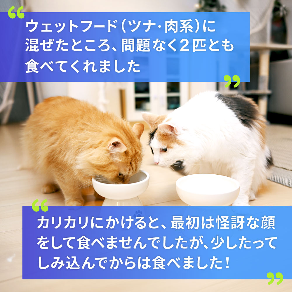 アンチノールプラス猫用60カプセル通販｜サプリメント｜猫｜ペットのお