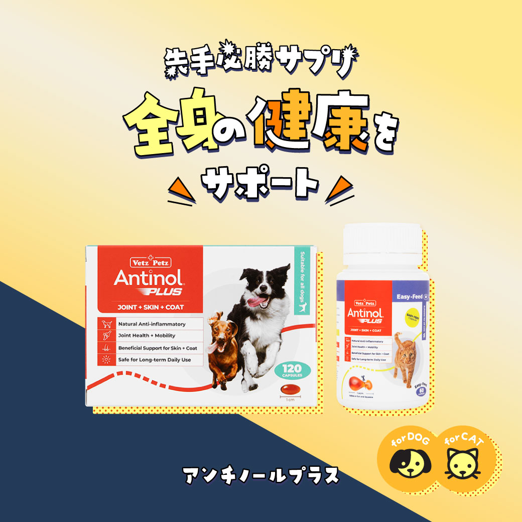 アンチノールプラス猫用120カプセル通販｜サプリメント｜猫｜ペットの