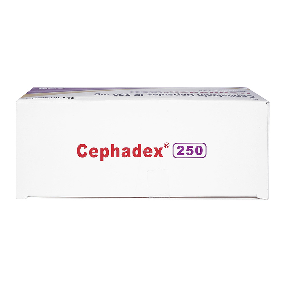 HM真菌(250mg×240カプセル＋おまけ付き)×3箱（和漢生薬研究所）【霊芝