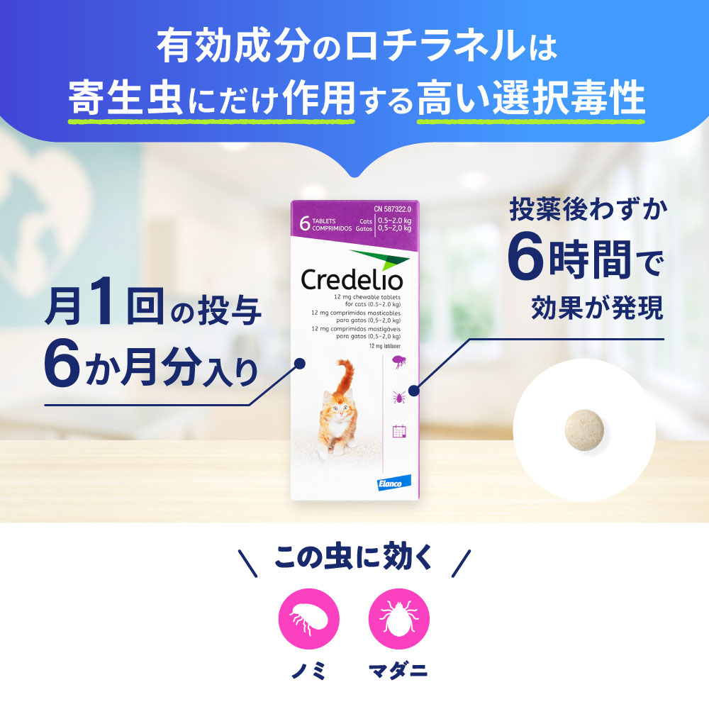 クレデリオ（猫用 0.5～2.0kg）通販｜ノミ・ダニ駆除薬｜猫｜ペットの