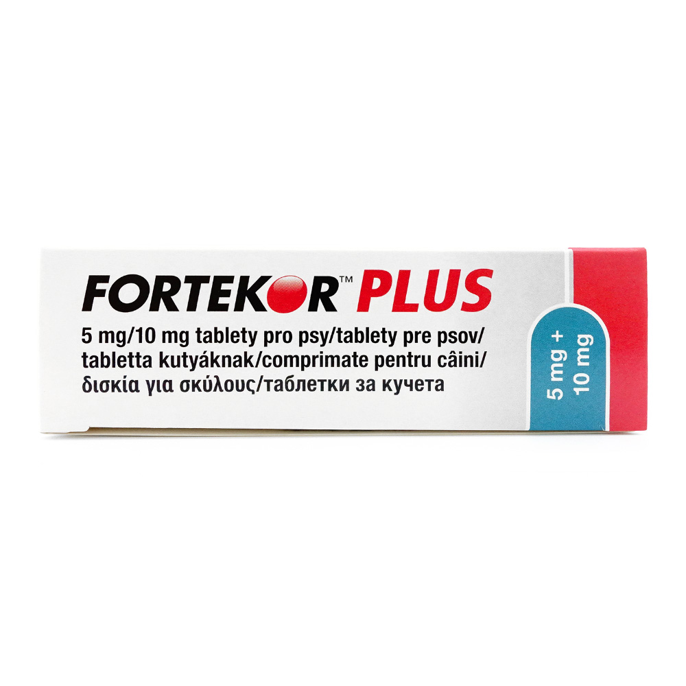 ファルテコールプラスS フォルテコールプラスS 60錠×1箱 - ねこあざらし薬店
