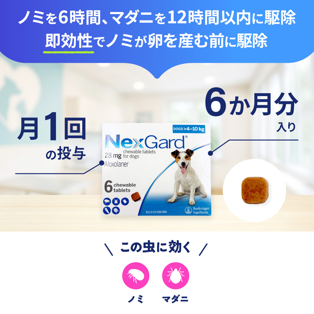 ネクスガード（25～50kg）通販｜ノミ・ダニ駆除薬｜犬｜ペットのお薬