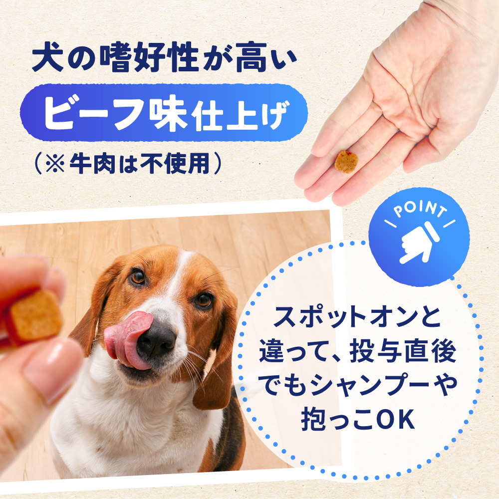 ネクスガード（25～50kg）通販｜ノミ・ダニ駆除薬｜犬｜ペットのお薬