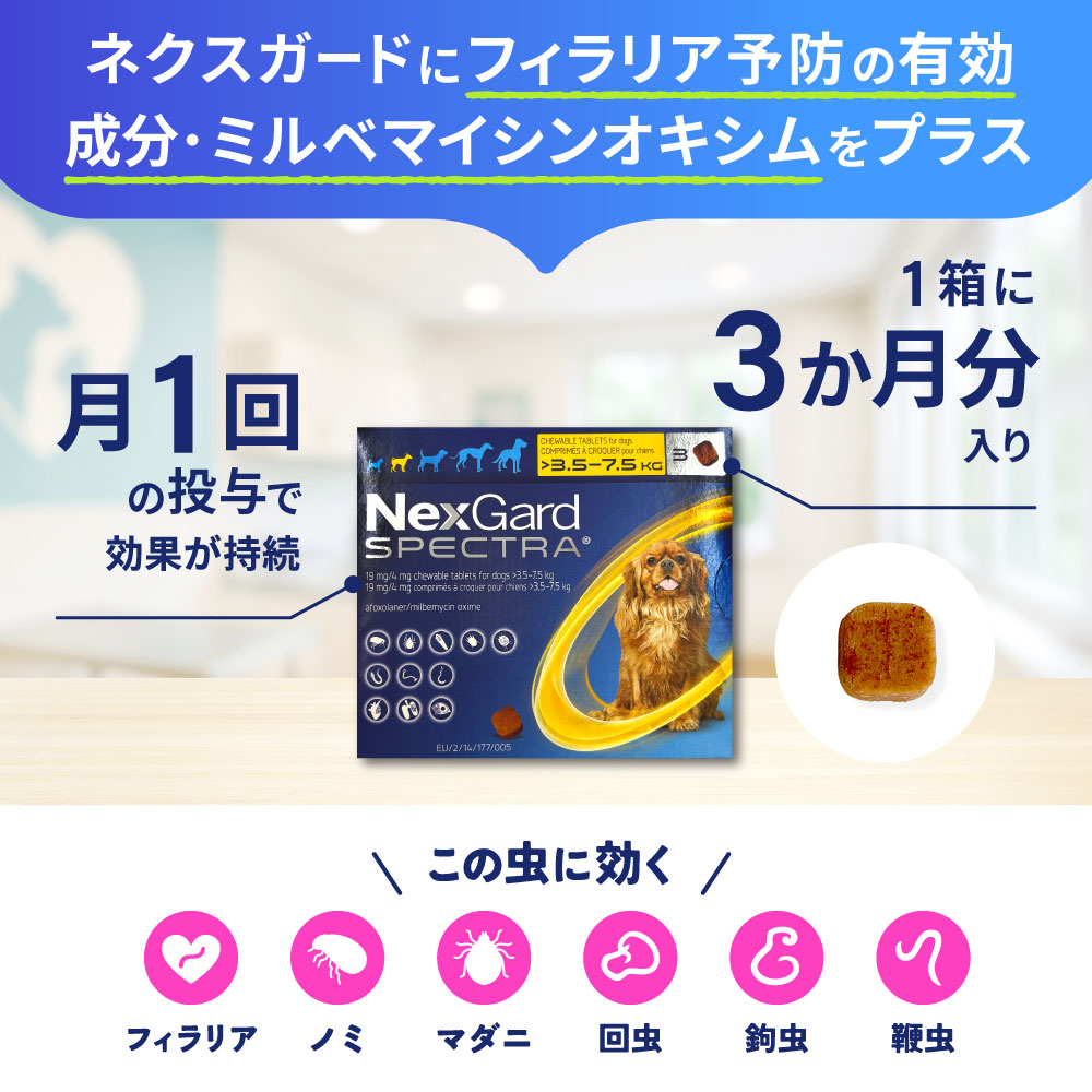 ネクスガードスペクトラ（2～3.5kg）通販｜フィラリア予防薬｜犬