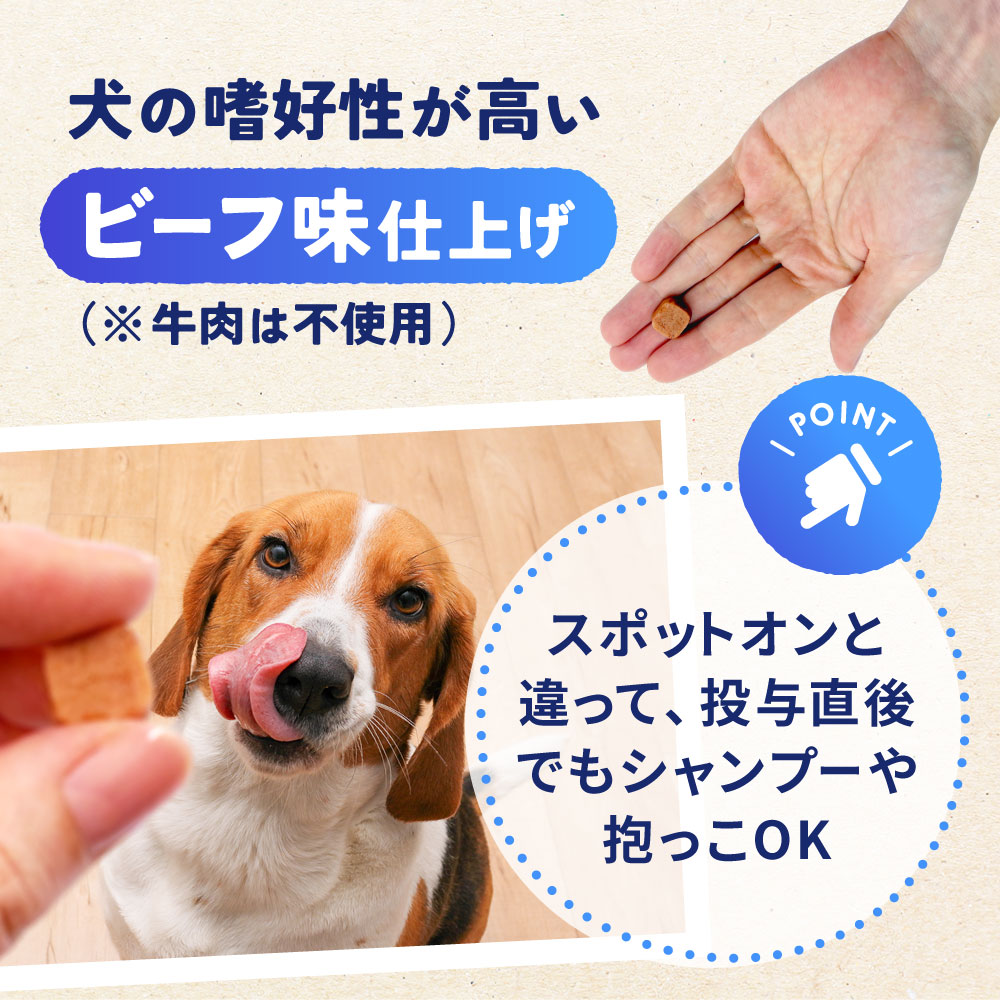 ネクス ガード スペクトラ