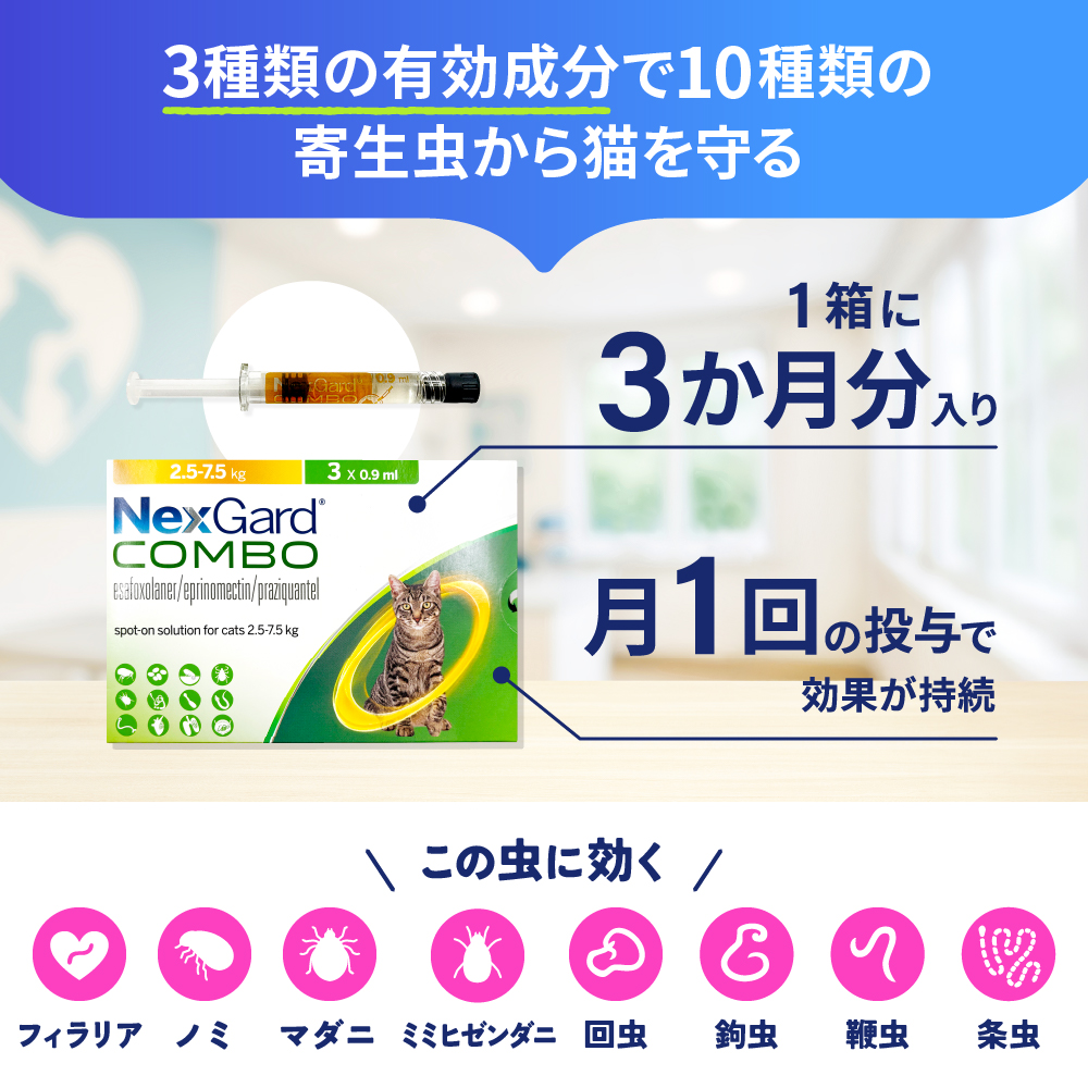 ネクスガードキャットコンボ（2.5～7.5kg）通販｜フィラリア予防薬｜猫