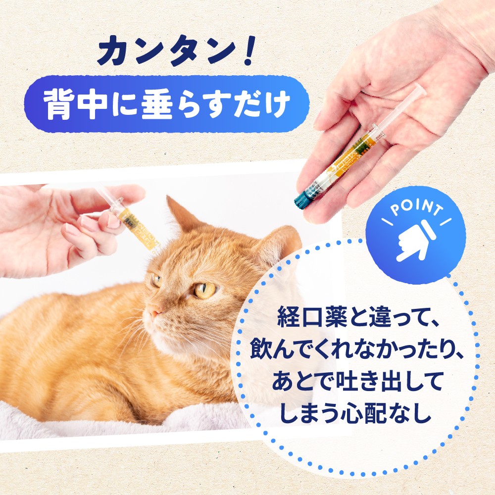 ネクスガードキャットコンボ（～2.5kg）通販｜フィラリア予防薬｜猫
