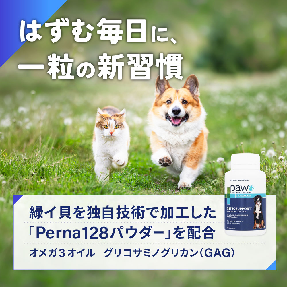 paw ジョイントリリーフ犬用 80カプセル通販｜サプリメント｜犬