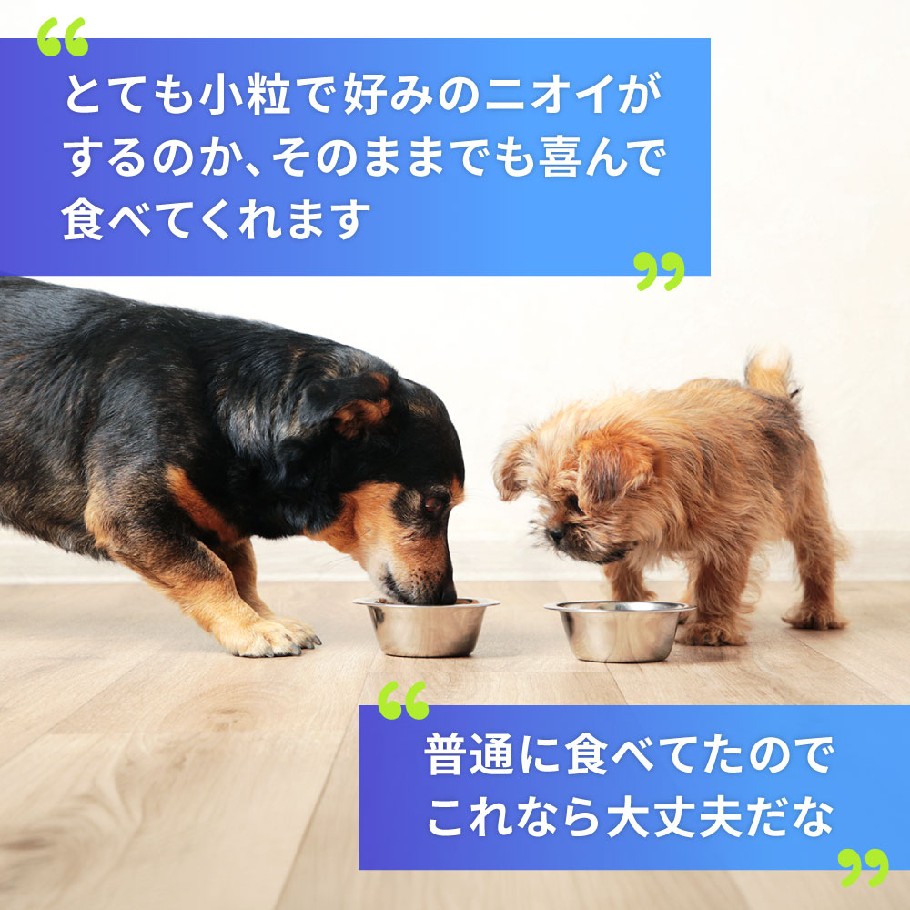 アンチノールプラス犬用60カプセル（ドイツ製）通販｜サプリメント｜犬