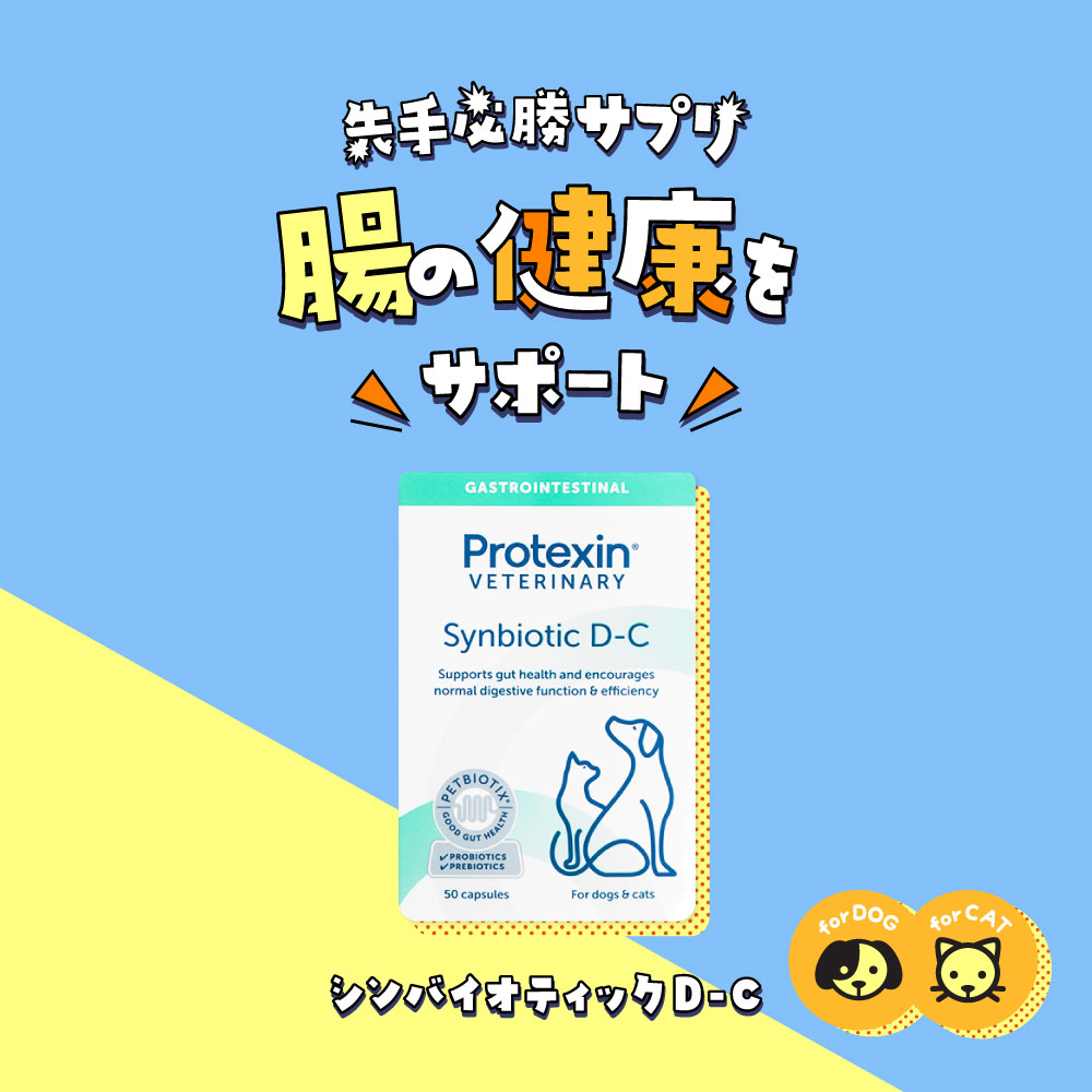 シンバイオティック D-C通販｜サプリメント｜犬｜ペットのお薬うさパラ