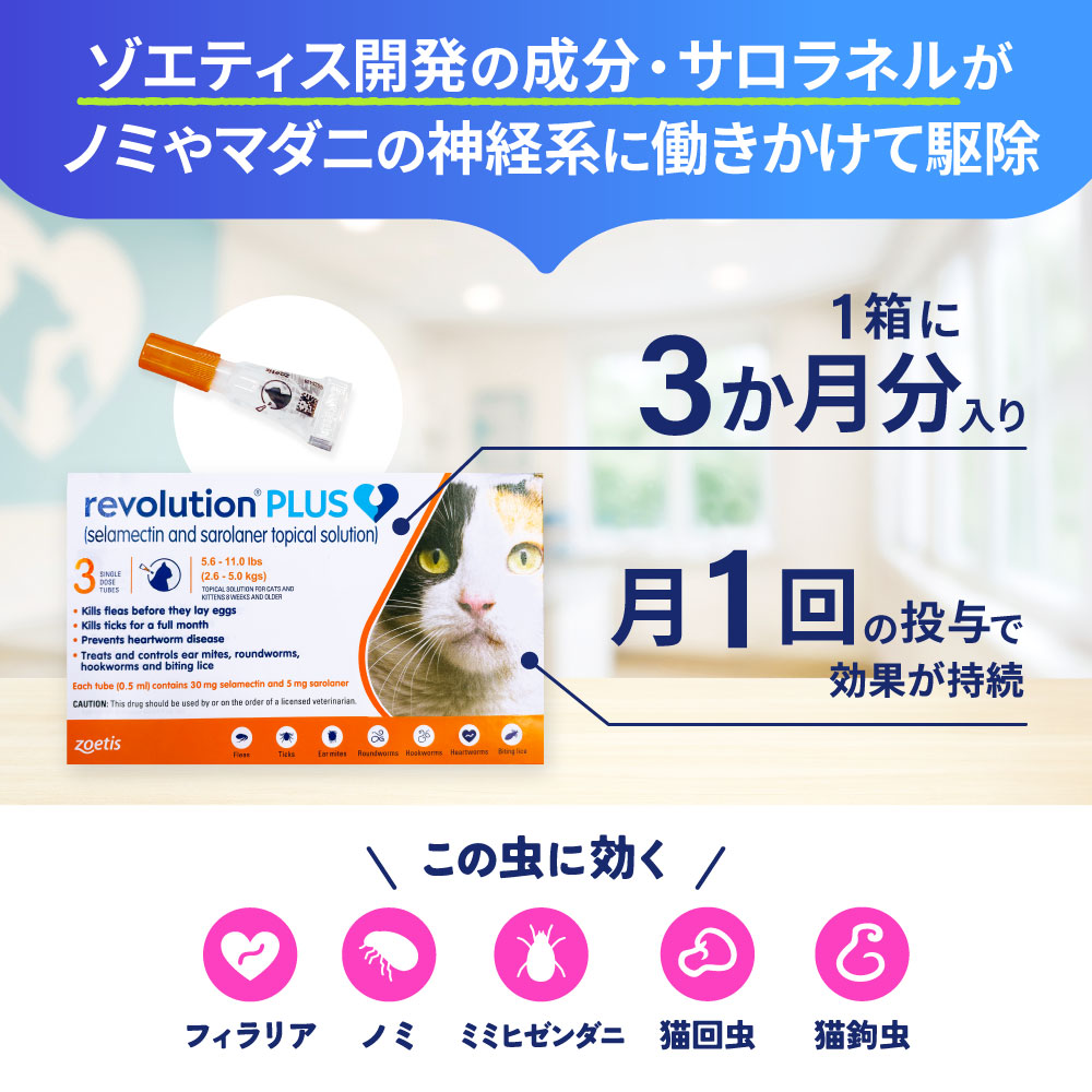 レボリューション プラス 猫