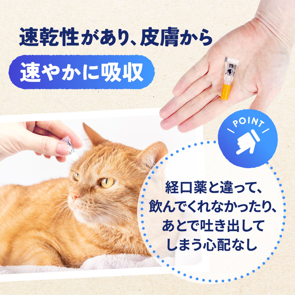 レボリューション プラス 猫