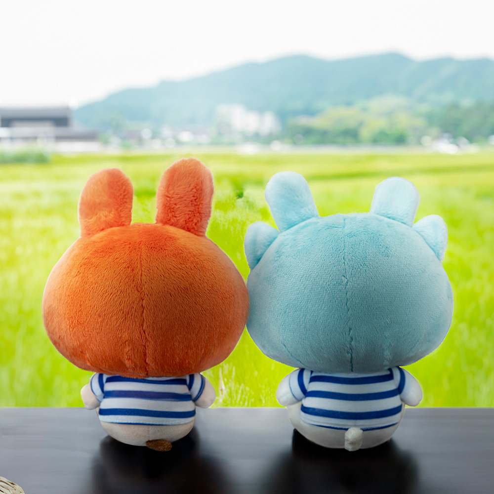 さラちゃんぬいぐるみ（座高約23cm）通販｜飼い主｜ペットのお薬うさパラ