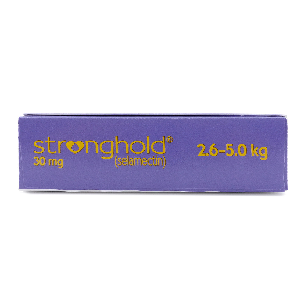 ●超特価　ストロングホールド（STRONGHOLD）ブースター　英語 　　２箱 ストロングホールド（第2版） レビュー評価など1件（Stronghold