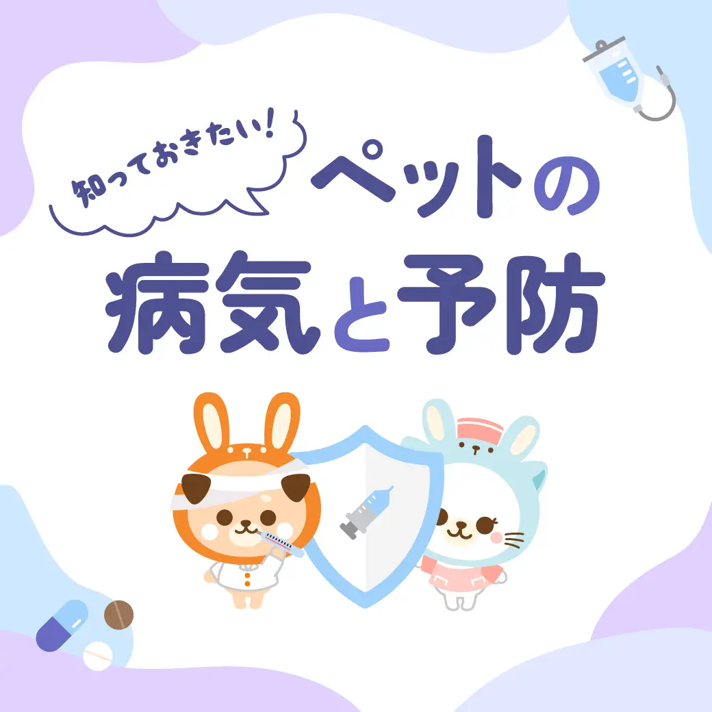 ペットの病気と予防 歯周病
