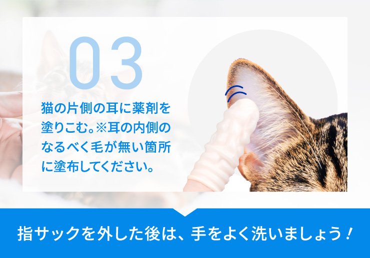 メチマゾールスポットオン（MSO）100mg通販｜腎臓・ホルモン