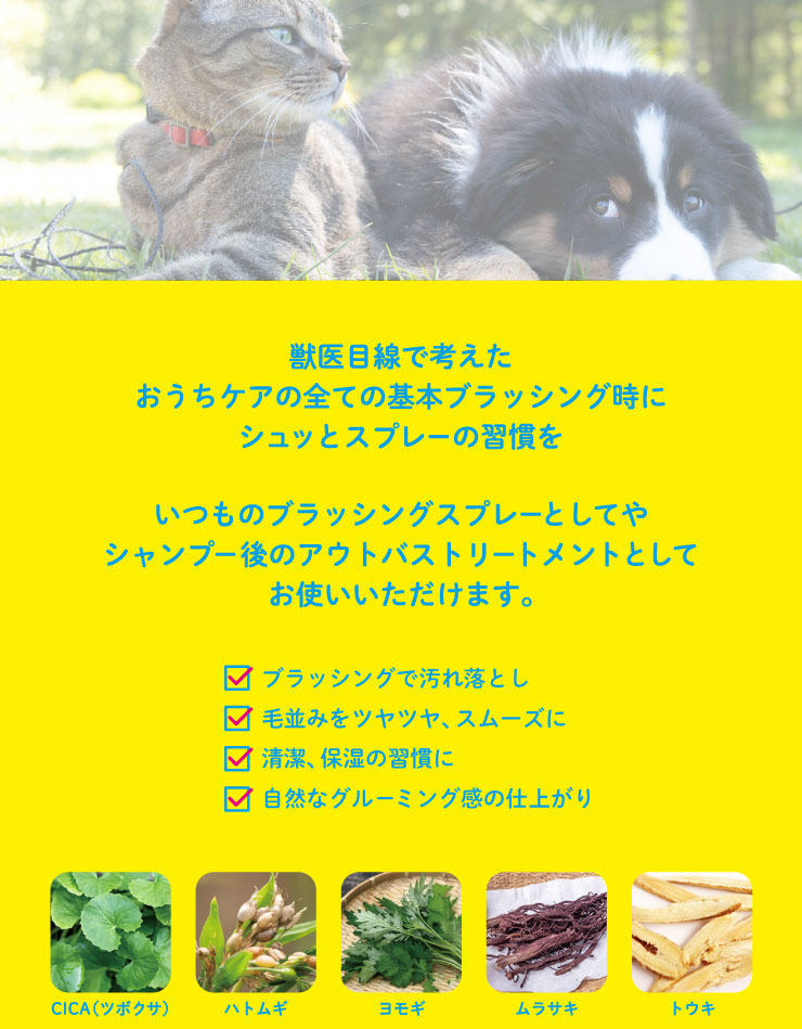 PAWKAMPO スプレートリートメント通販｜シャンプー｜犬｜ペットのお薬