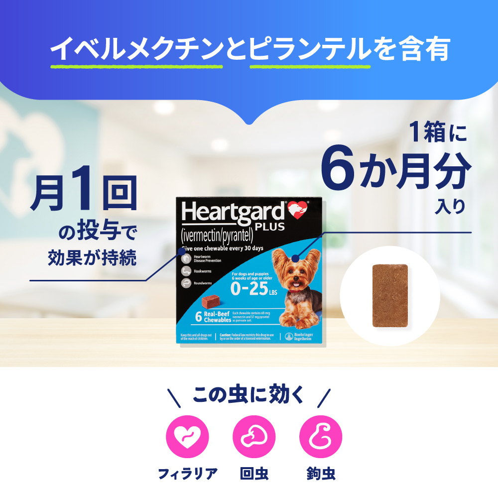 ハートガードプラス（12kg未満用）[カルドメックチュアブルP海外版